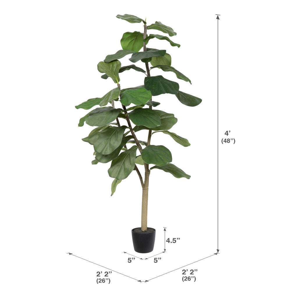 10' Potted Fiddle Tree
