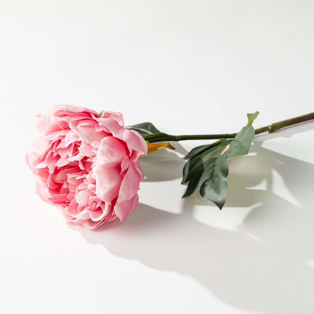 25"  Pink Peony Bundle