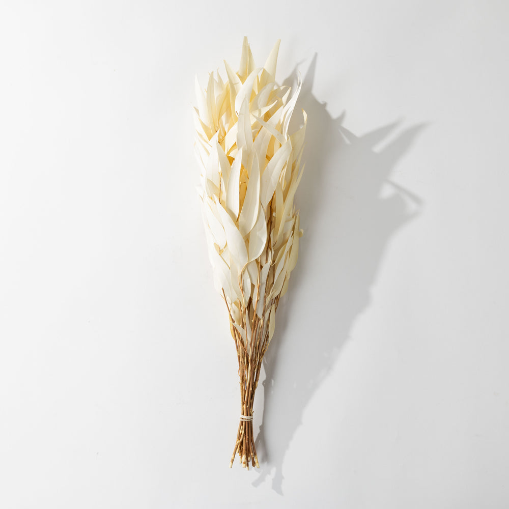 Bleached Willow Eucalyptus Bundle