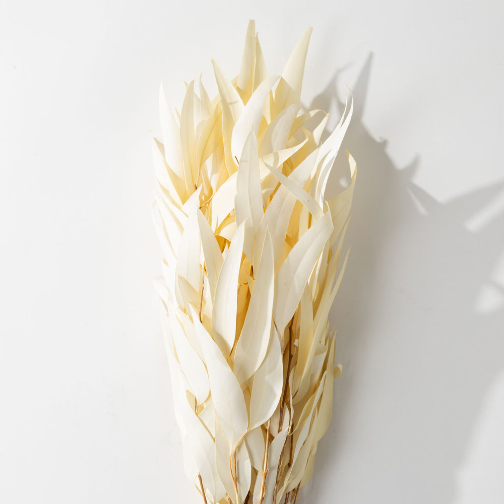 Bleached Willow Eucalyptus Bundle