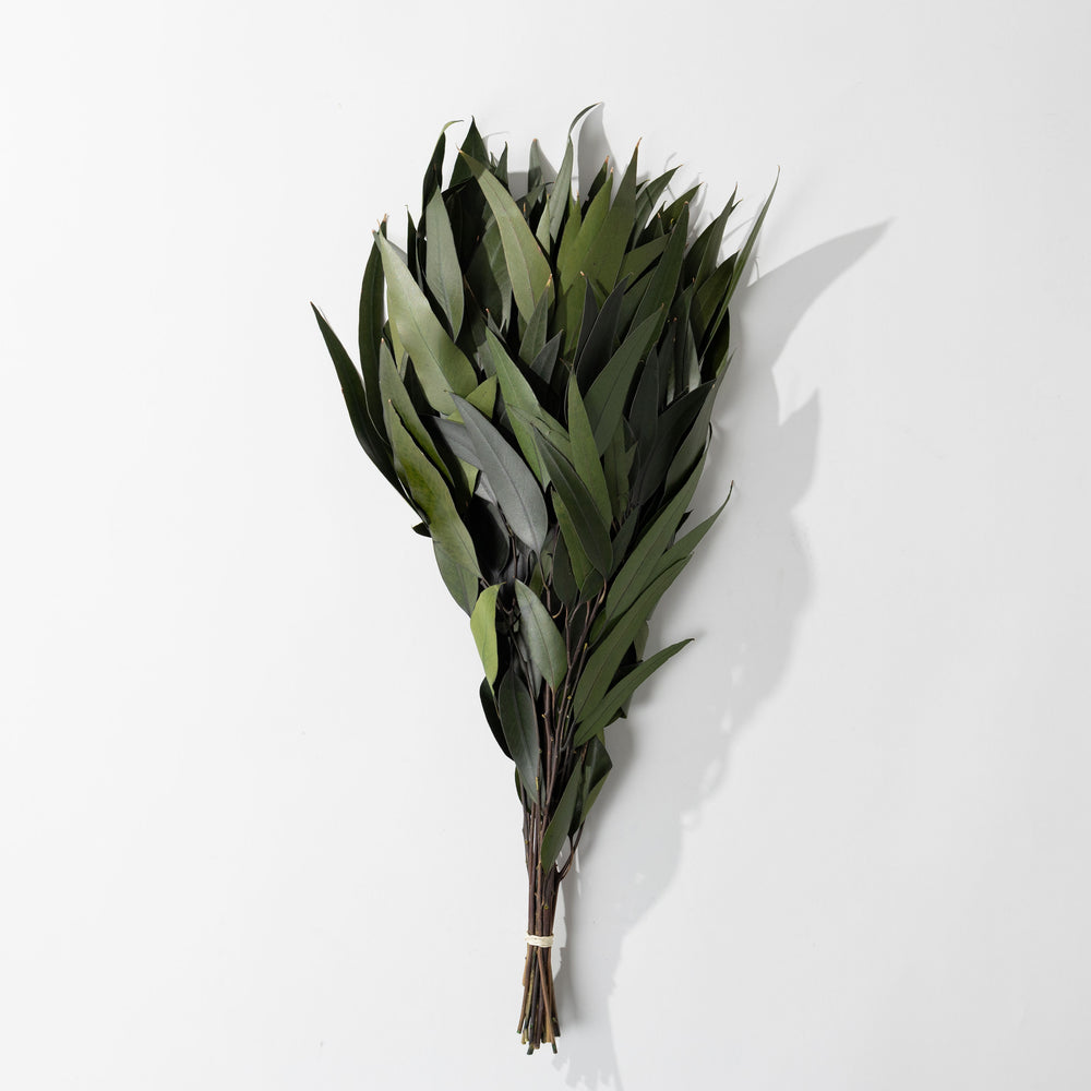 Green Willow Eucalyptus Bundle
