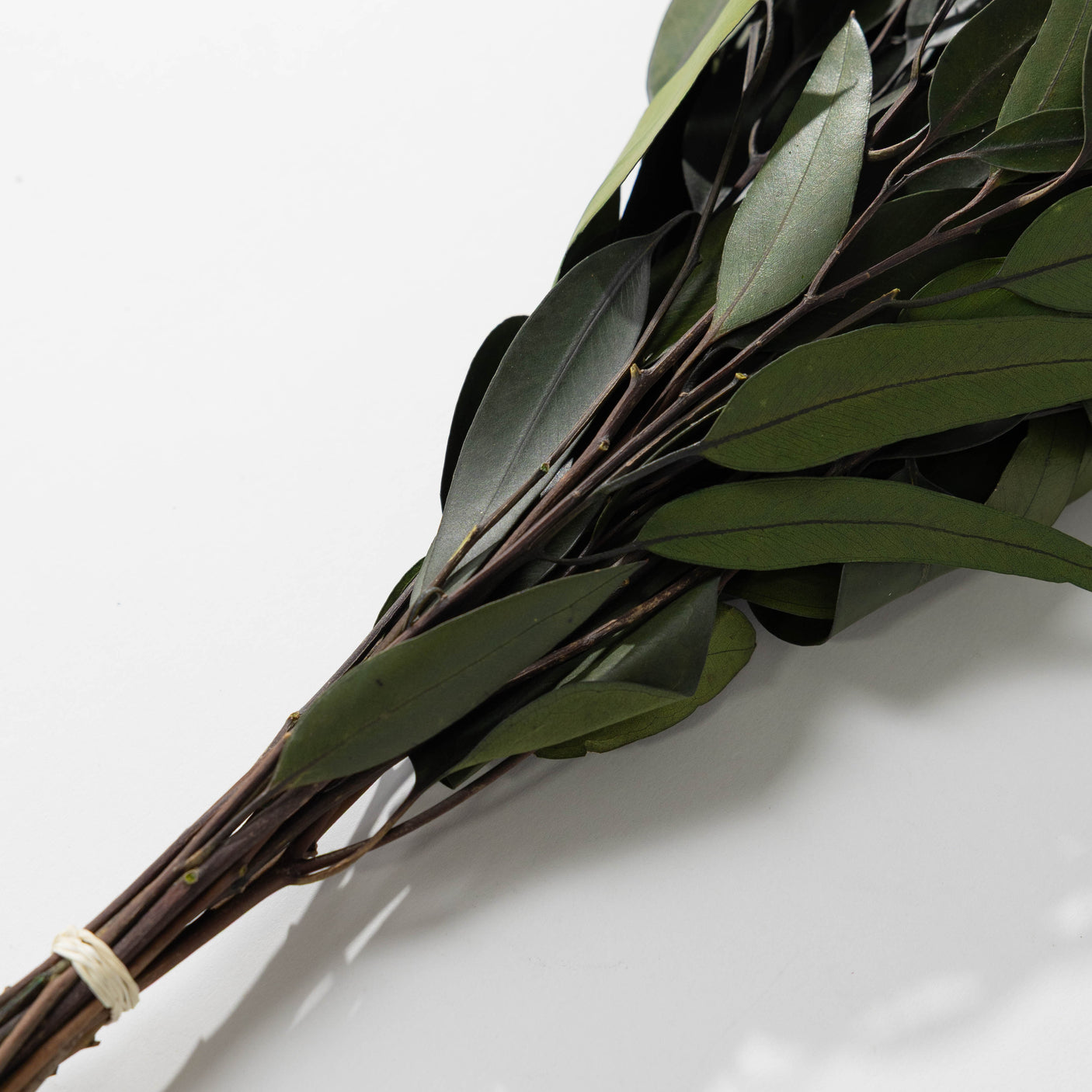 Green Willow Eucalyptus Bundle