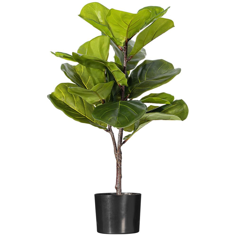 27" Green Fiddle Leaf Plant
