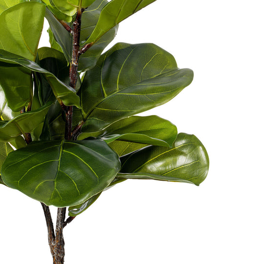 27" Green Fiddle Leaf Plant