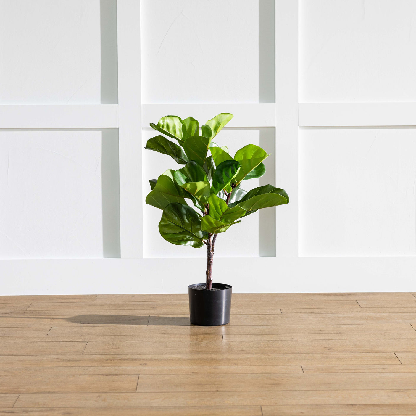 27" Green Fiddle Leaf Plant