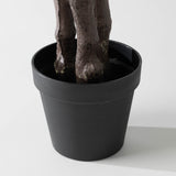 30" Potted Olive Tree