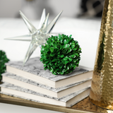 Boxwood Ball Set