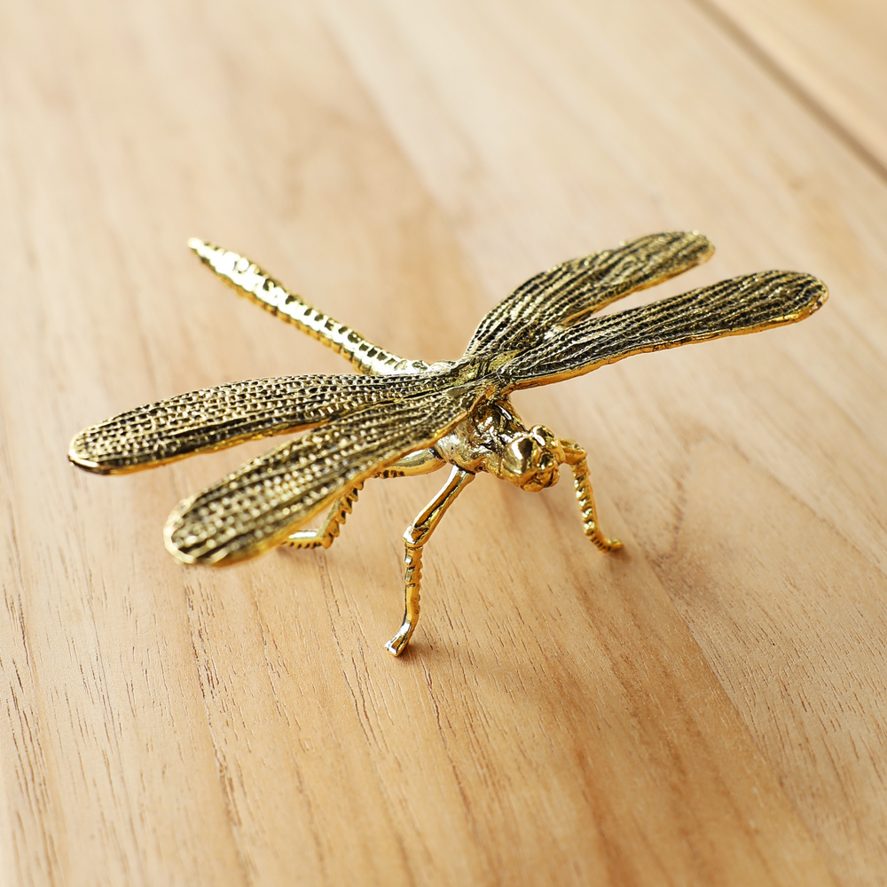 Gold Ladybug & Dragonfly Set