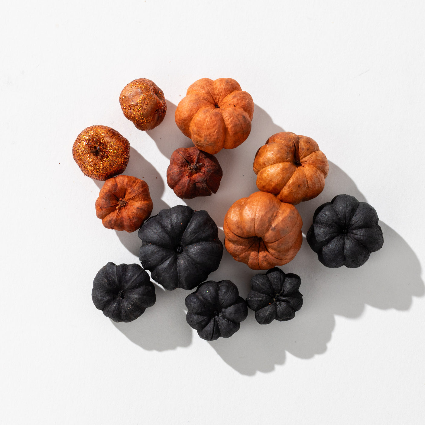 Assorted Pumpkin Mix
