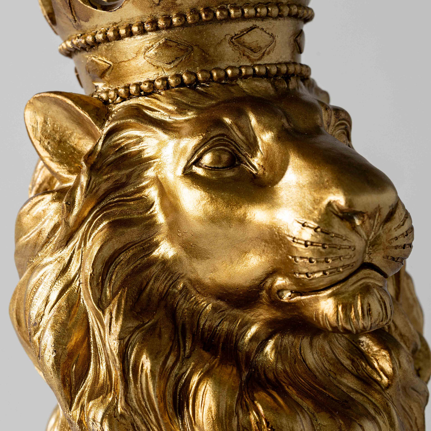 Crowned Lion