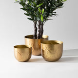 Debossed Metal Planter Set