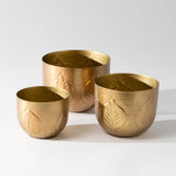 Debossed Metal Planter Set