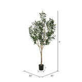 6' Green Potted Olive Tree