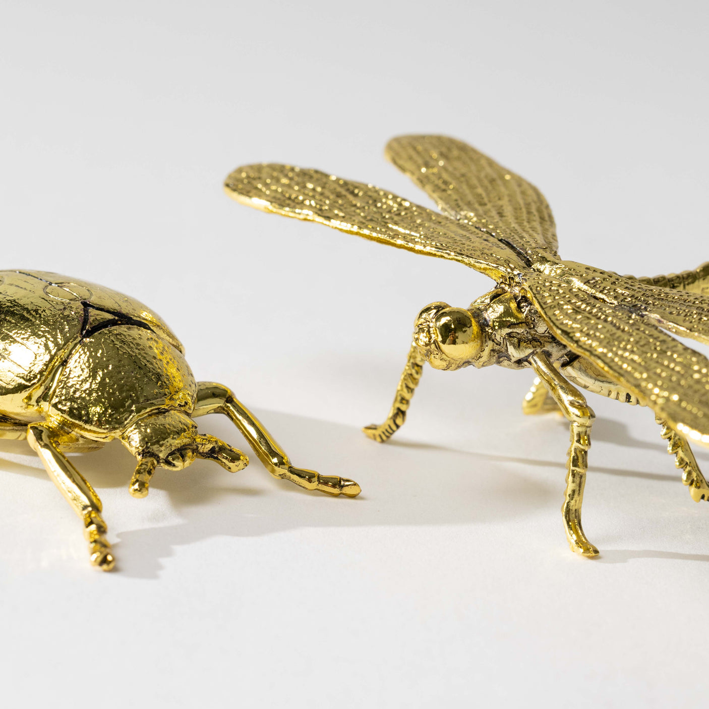 Gold Ladybug & Dragonfly Set