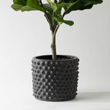 Knobbed Planter - Dark Grey