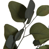 Eucalyptus Pop Green Bundle