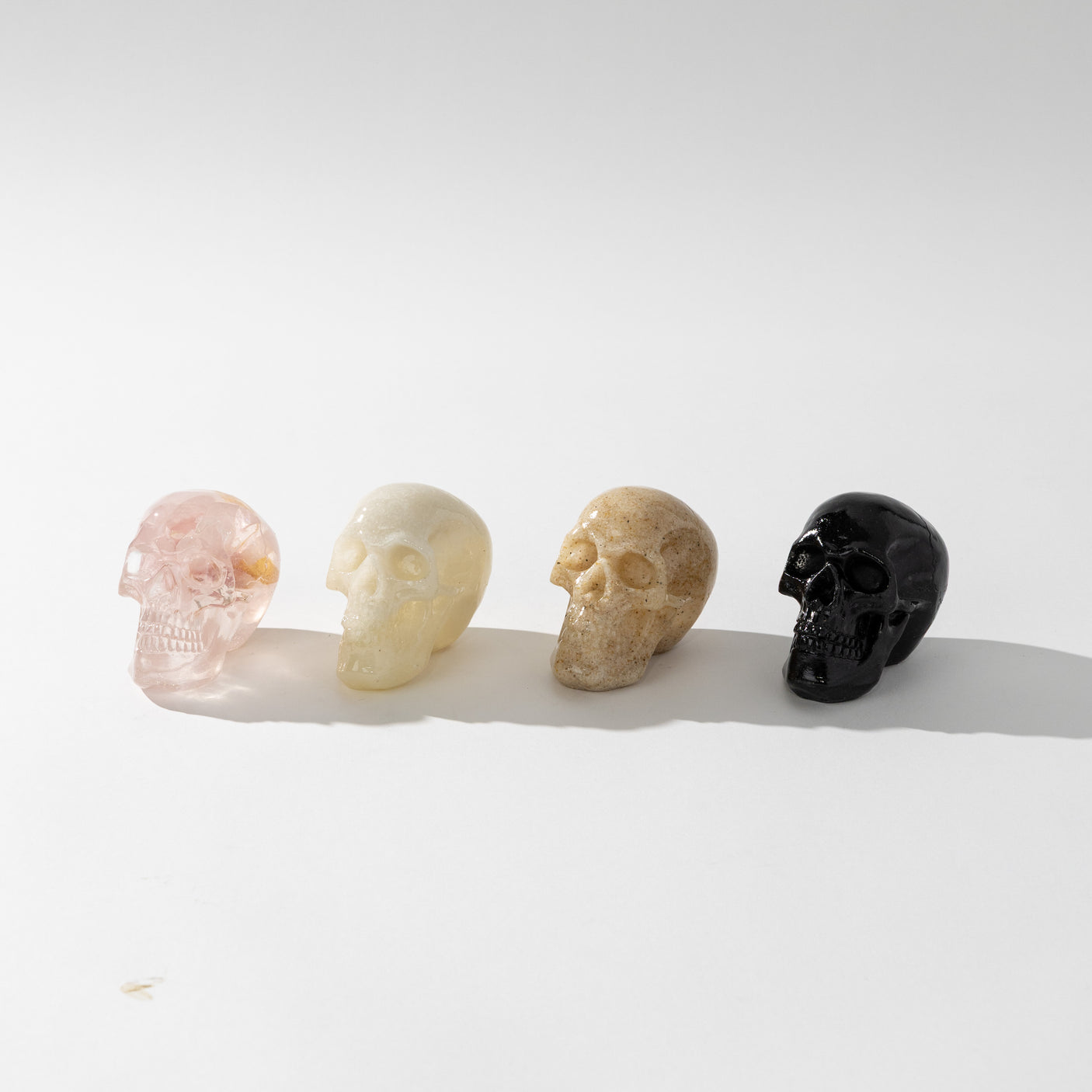 Resin Skulls Set