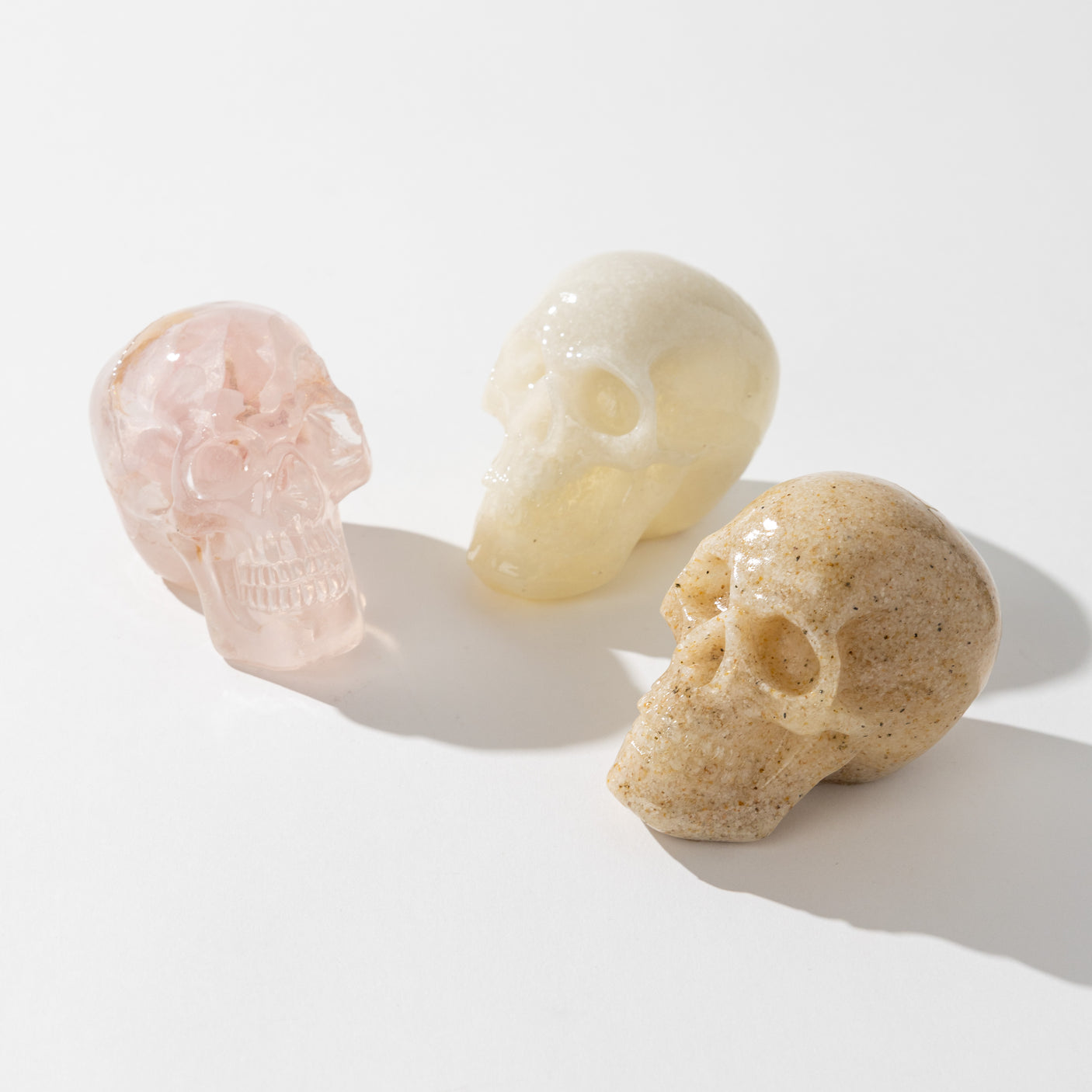 Resin Skulls Set