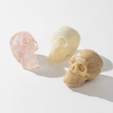 Resin Skulls Set