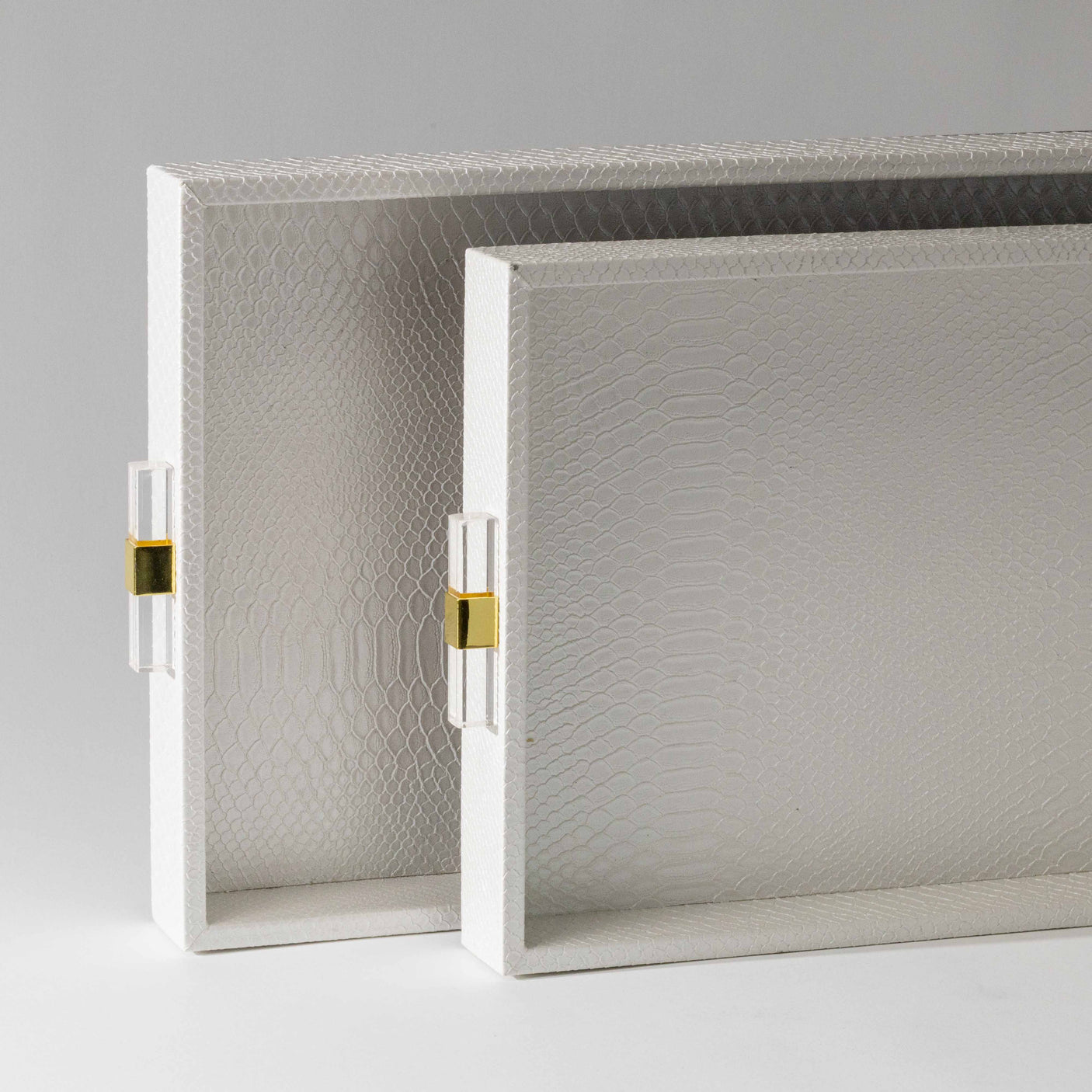 Snakeskin Trays