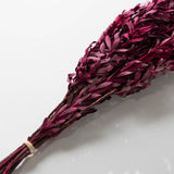 Merlot Pubescens Bundle