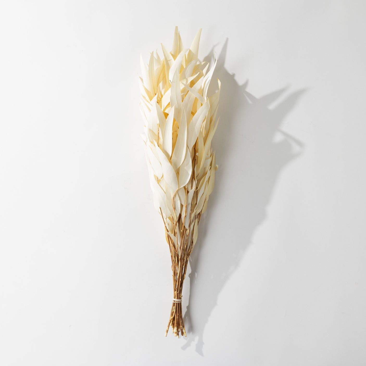 Bleached Willow Eucalyptus Bundle