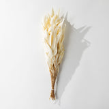 Bleached Willow Eucalyptus Bundle