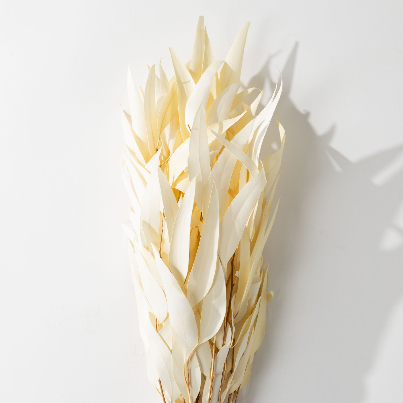 Bleached Willow Eucalyptus Bundle