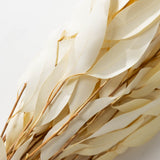 Bleached Willow Eucalyptus Bundle