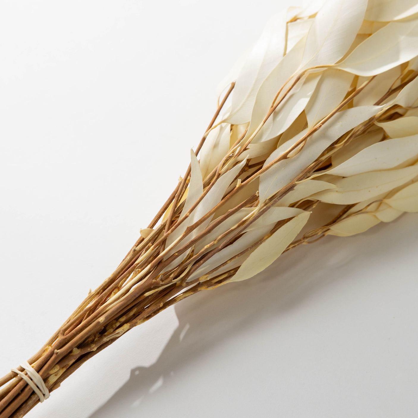 Bleached Willow Eucalyptus Bundle