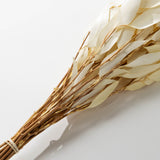 Bleached Willow Eucalyptus Bundle