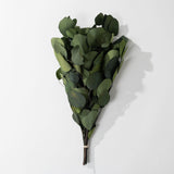 Eucalyptus Pop Green Bundle