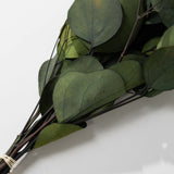 Eucalyptus Pop Green Bundle