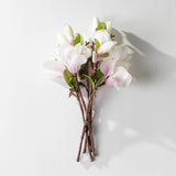 White & Pink Magnolia Pick Bundle