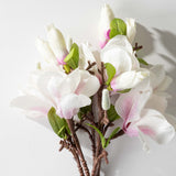 White & Pink Magnolia Pick Bundle