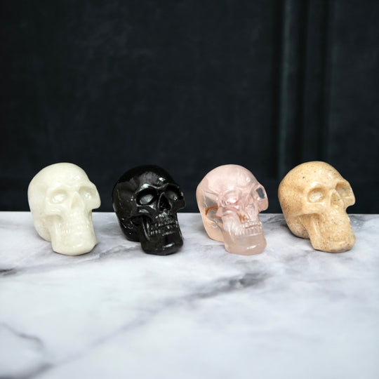 Resin Skulls Set